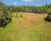 Lot 48 Hazelwood Drive, Bruceton Mills, West Virginia 26525, ,Lots/land,For Sale,Hazelwood,10161490