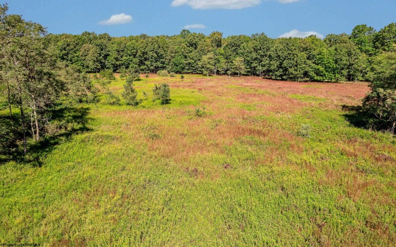 Lot 48 Hazelwood Drive, Bruceton Mills, West Virginia 26525, ,Lots/land,For Sale,Hazelwood,10161490