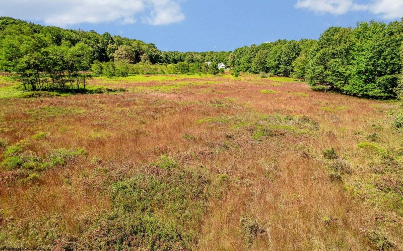 Lot 48 Hazelwood Drive, Bruceton Mills, West Virginia 26525, ,Lots/land,For Sale,Hazelwood,10161490