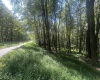lot 69 Clover Drive, Terra Alta, West Virginia 26764, ,Lots/land,For Sale,Clover,10161502