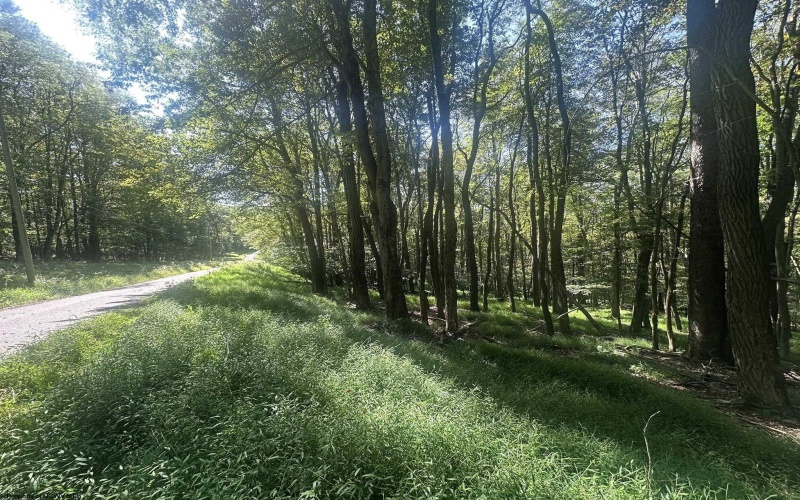 lot 69 Clover Drive, Terra Alta, West Virginia 26764, ,Lots/land,For Sale,Clover,10161502