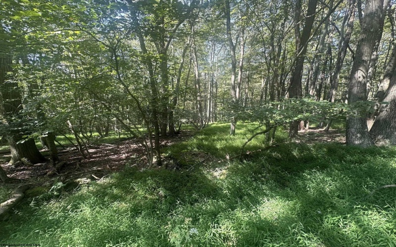 lot 69 Clover Drive, Terra Alta, West Virginia 26764, ,Lots/land,For Sale,Clover,10161502