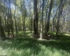 lot 69 Clover Drive, Terra Alta, West Virginia 26764, ,Lots/land,For Sale,Clover,10161502