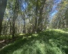 lot 69 Clover Drive, Terra Alta, West Virginia 26764, ,Lots/land,For Sale,Clover,10161502