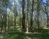 lot 69 Clover Drive, Terra Alta, West Virginia 26764, ,Lots/land,For Sale,Clover,10161502