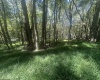 lot 69 Clover Drive, Terra Alta, West Virginia 26764, ,Lots/land,For Sale,Clover,10161502