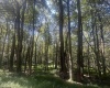 lot 69 Clover Drive, Terra Alta, West Virginia 26764, ,Lots/land,For Sale,Clover,10161502