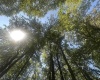 lot 69 Clover Drive, Terra Alta, West Virginia 26764, ,Lots/land,For Sale,Clover,10161502