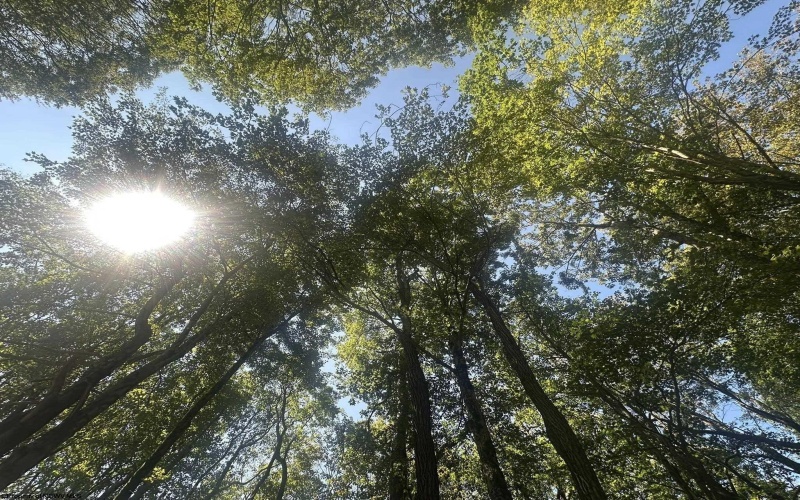 lot 69 Clover Drive, Terra Alta, West Virginia 26764, ,Lots/land,For Sale,Clover,10161502