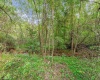 TBD Glory Barn Road, Morgantown, West Virginia 26501, ,Lots/land,For Sale,Glory Barn,10161503