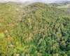 TBD Glory Barn Road, Morgantown, West Virginia 26501, ,Lots/land,For Sale,Glory Barn,10161503