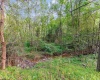 TBD Glory Barn Road, Morgantown, West Virginia 26501, ,Lots/land,For Sale,Glory Barn,10161503
