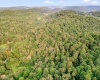 TBD Glory Barn Road, Morgantown, West Virginia 26501, ,Lots/land,For Sale,Glory Barn,10161503