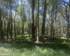 lot 68 Clover Drive, Terra Alta, West Virginia 26764, ,Lots/land,For Sale,Clover,10161504