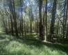 lot 68 Clover Drive, Terra Alta, West Virginia 26764, ,Lots/land,For Sale,Clover,10161504