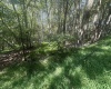 lot 68 Clover Drive, Terra Alta, West Virginia 26764, ,Lots/land,For Sale,Clover,10161504