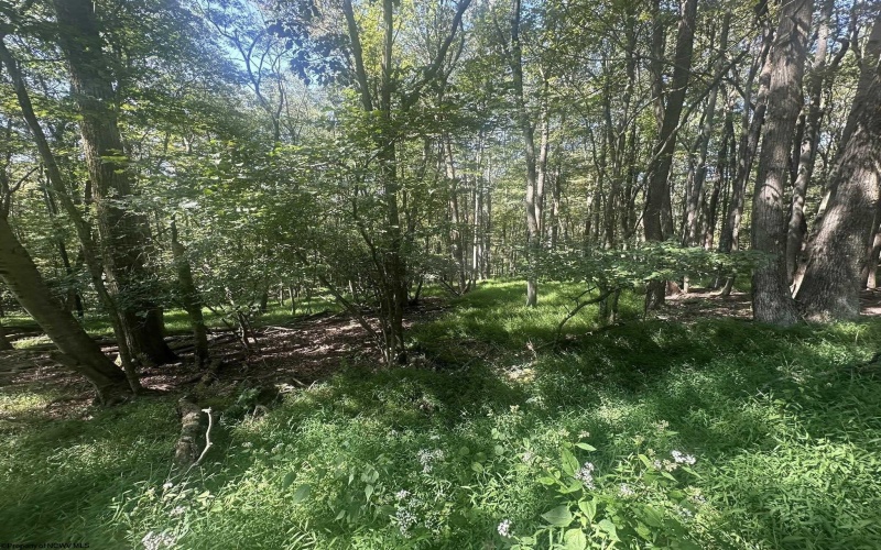 lot 68 Clover Drive, Terra Alta, West Virginia 26764, ,Lots/land,For Sale,Clover,10161504
