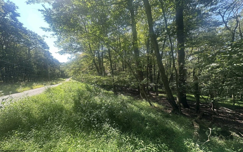 lot 68 Clover Drive, Terra Alta, West Virginia 26764, ,Lots/land,For Sale,Clover,10161504