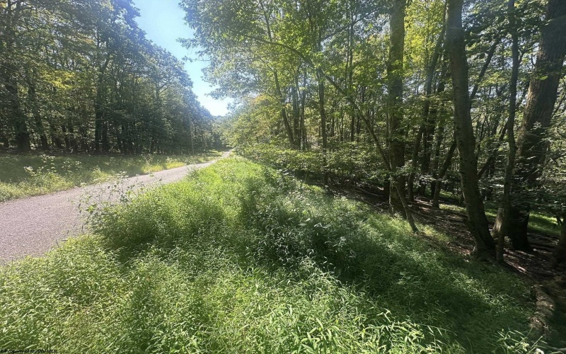 lot 68 Clover Drive, Terra Alta, West Virginia 26764, ,Lots/land,For Sale,Clover,10161504