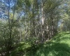 lot 68 Clover Drive, Terra Alta, West Virginia 26764, ,Lots/land,For Sale,Clover,10161504