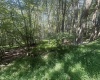 lot 68 Clover Drive, Terra Alta, West Virginia 26764, ,Lots/land,For Sale,Clover,10161504