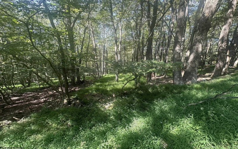 lot 68 Clover Drive, Terra Alta, West Virginia 26764, ,Lots/land,For Sale,Clover,10161504