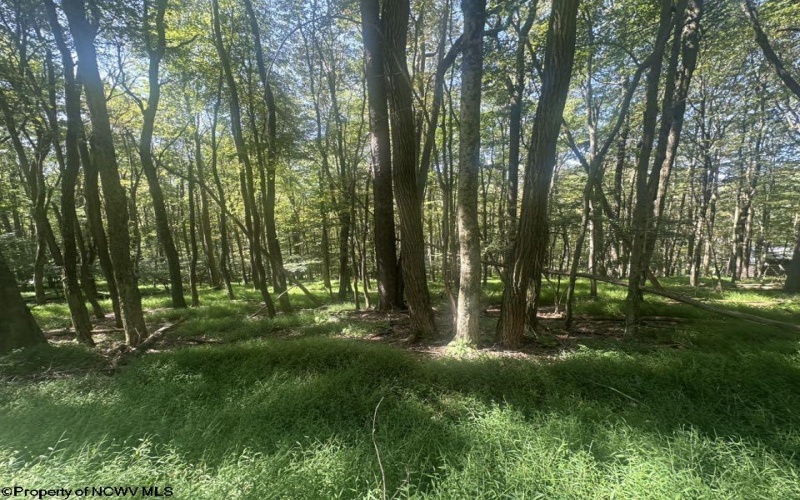 lot 68 Clover Drive, Terra Alta, West Virginia 26764, ,Lots/land,For Sale,Clover,10161504