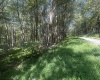 lot 67 Clover Drive, Terra Alta, West Virginia 26764, ,Lots/land,For Sale,Clover,10161505