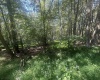 lot 67 Clover Drive, Terra Alta, West Virginia 26764, ,Lots/land,For Sale,Clover,10161505