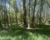 lot 67 Clover Drive, Terra Alta, West Virginia 26764, ,Lots/land,For Sale,Clover,10161505