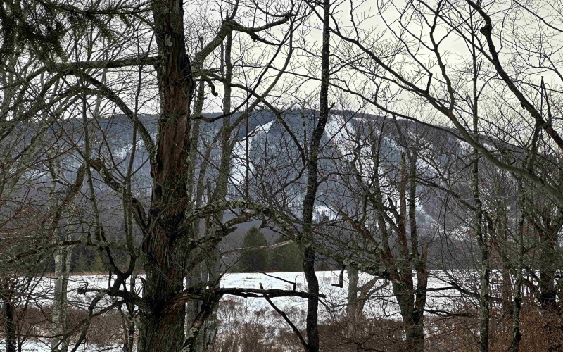 57 Sand Springs Drive, Davis, West Virginia 26260, 3 Bedrooms Bedrooms, 10 Rooms Rooms,3 BathroomsBathrooms,Single Family Detached,For Sale,Sand Springs,10161498