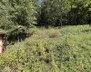 318 Harpertown Road, Elkins, West Virginia 26241, 2 Bedrooms Bedrooms, 8 Rooms Rooms,2 BathroomsBathrooms,Single Family Detached,For Sale,Harpertown,10161485