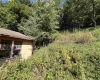 318 Harpertown Road, Elkins, West Virginia 26241, 2 Bedrooms Bedrooms, 8 Rooms Rooms,2 BathroomsBathrooms,Single Family Detached,For Sale,Harpertown,10161485