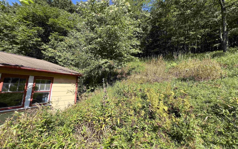 318 Harpertown Road, Elkins, West Virginia 26241, 2 Bedrooms Bedrooms, 8 Rooms Rooms,2 BathroomsBathrooms,Single Family Detached,For Sale,Harpertown,10161485