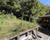318 Harpertown Road, Elkins, West Virginia 26241, 2 Bedrooms Bedrooms, 8 Rooms Rooms,2 BathroomsBathrooms,Single Family Detached,For Sale,Harpertown,10161485