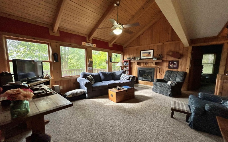 185 Tree Top Lane, Davis, West Virginia 26260, 3 Bedrooms Bedrooms, 8 Rooms Rooms,2 BathroomsBathrooms,Single Family Detached,For Sale,Tree Top,10161492