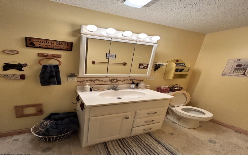 185 Tree Top Lane, Davis, West Virginia 26260, 3 Bedrooms Bedrooms, 8 Rooms Rooms,2 BathroomsBathrooms,Single Family Detached,For Sale,Tree Top,10161492