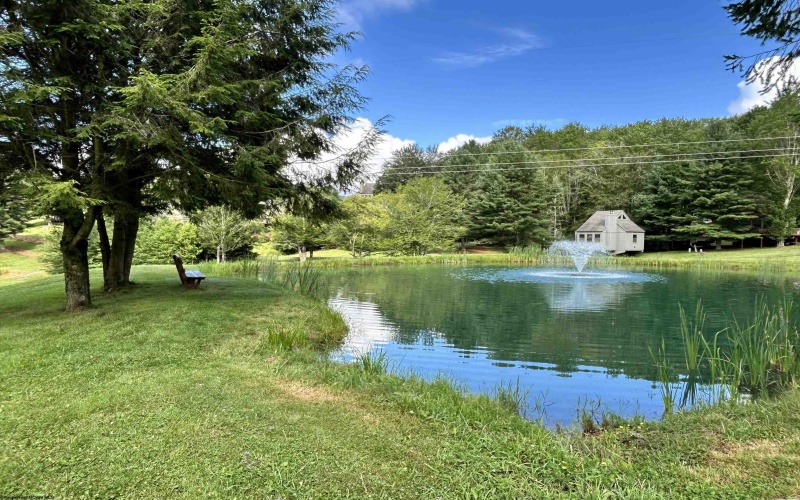 185 Tree Top Lane, Davis, West Virginia 26260, 3 Bedrooms Bedrooms, 8 Rooms Rooms,2 BathroomsBathrooms,Single Family Detached,For Sale,Tree Top,10161492