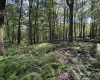 Lots 41 and 42 Day Lily Court, Terra Alta, West Virginia 26764, ,Lots/land,For Sale,Day Lily,10161511