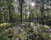 Lots 41 and 42 Day Lily Court, Terra Alta, West Virginia 26764, ,Lots/land,For Sale,Day Lily,10161511