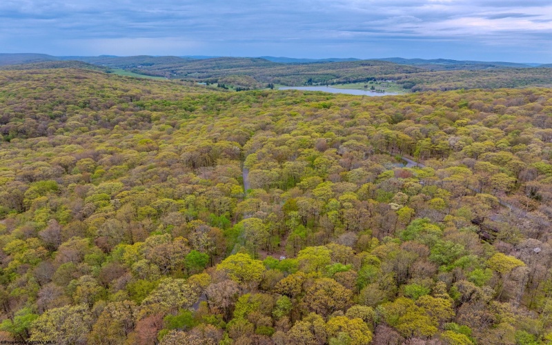 Lots 41 and 42 Day Lily Court, Terra Alta, West Virginia 26764, ,Lots/land,For Sale,Day Lily,10161511