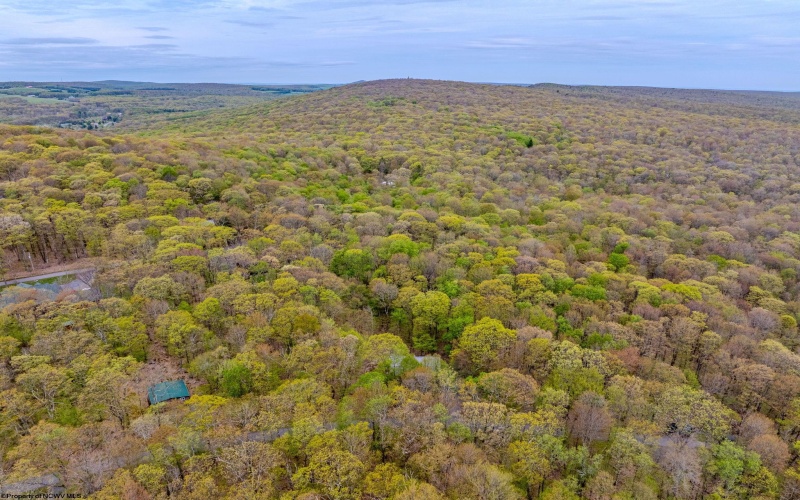 Lots 41 and 42 Day Lily Court, Terra Alta, West Virginia 26764, ,Lots/land,For Sale,Day Lily,10161511