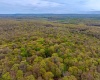 Lots 41 and 42 Day Lily Court, Terra Alta, West Virginia 26764, ,Lots/land,For Sale,Day Lily,10161511