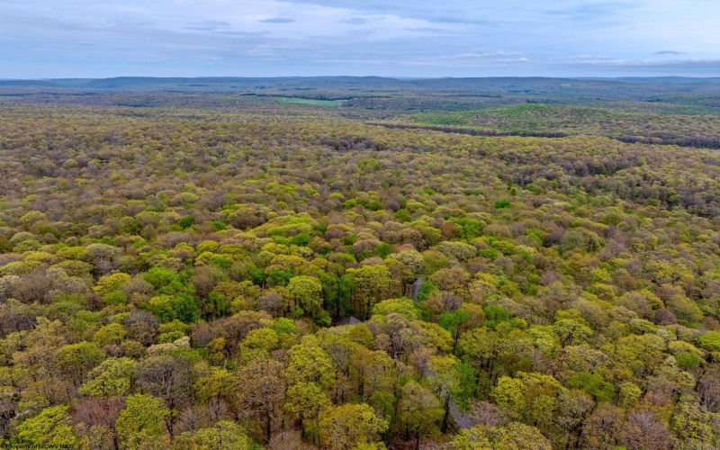 Lots 41 and 42 Day Lily Court, Terra Alta, West Virginia 26764, ,Lots/land,For Sale,Day Lily,10161511
