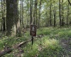 Lots 41 and 42 Day Lily Court, Terra Alta, West Virginia 26764, ,Lots/land,For Sale,Day Lily,10161511