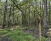 Lots 41 and 42 Day Lily Court, Terra Alta, West Virginia 26764, ,Lots/land,For Sale,Day Lily,10161511