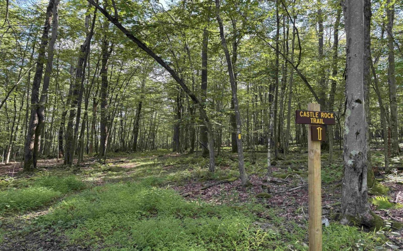 Lots 41 and 42 Day Lily Court, Terra Alta, West Virginia 26764, ,Lots/land,For Sale,Day Lily,10161511