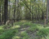 Lots 41 and 42 Day Lily Court, Terra Alta, West Virginia 26764, ,Lots/land,For Sale,Day Lily,10161511