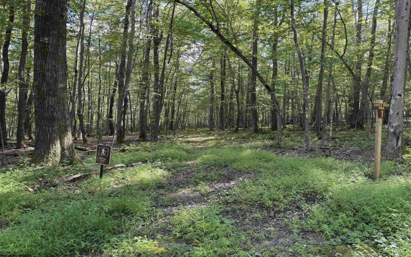 Lots 41 and 42 Day Lily Court, Terra Alta, West Virginia 26764, ,Lots/land,For Sale,Day Lily,10161511