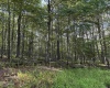 Lots 41 and 42 Day Lily Court, Terra Alta, West Virginia 26764, ,Lots/land,For Sale,Day Lily,10161511